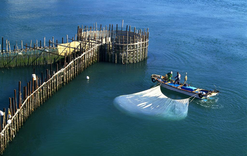 남해군 ‘죽방렴 어업’, 국가중요어업유산 지정