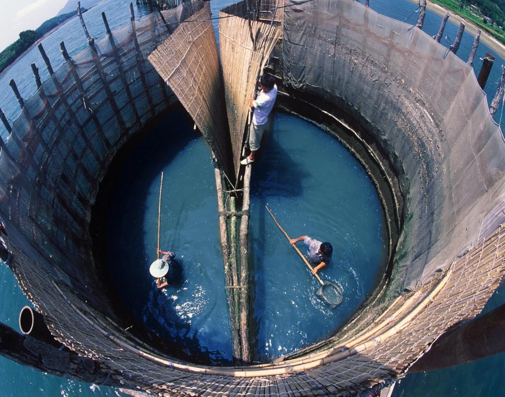 남해군 ‘죽방렴 어업’, 국가중요어업유산 지정